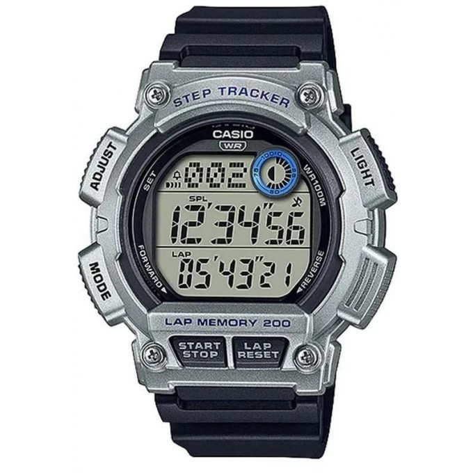 Наручные часы мужские CASIO WS-2100 573327288