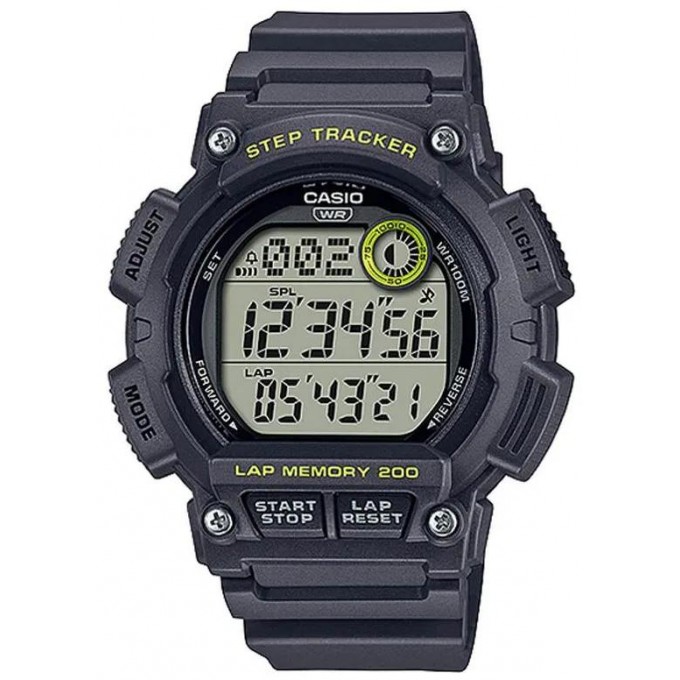 Наручные часы мужские CASIO WS-2100H-8A